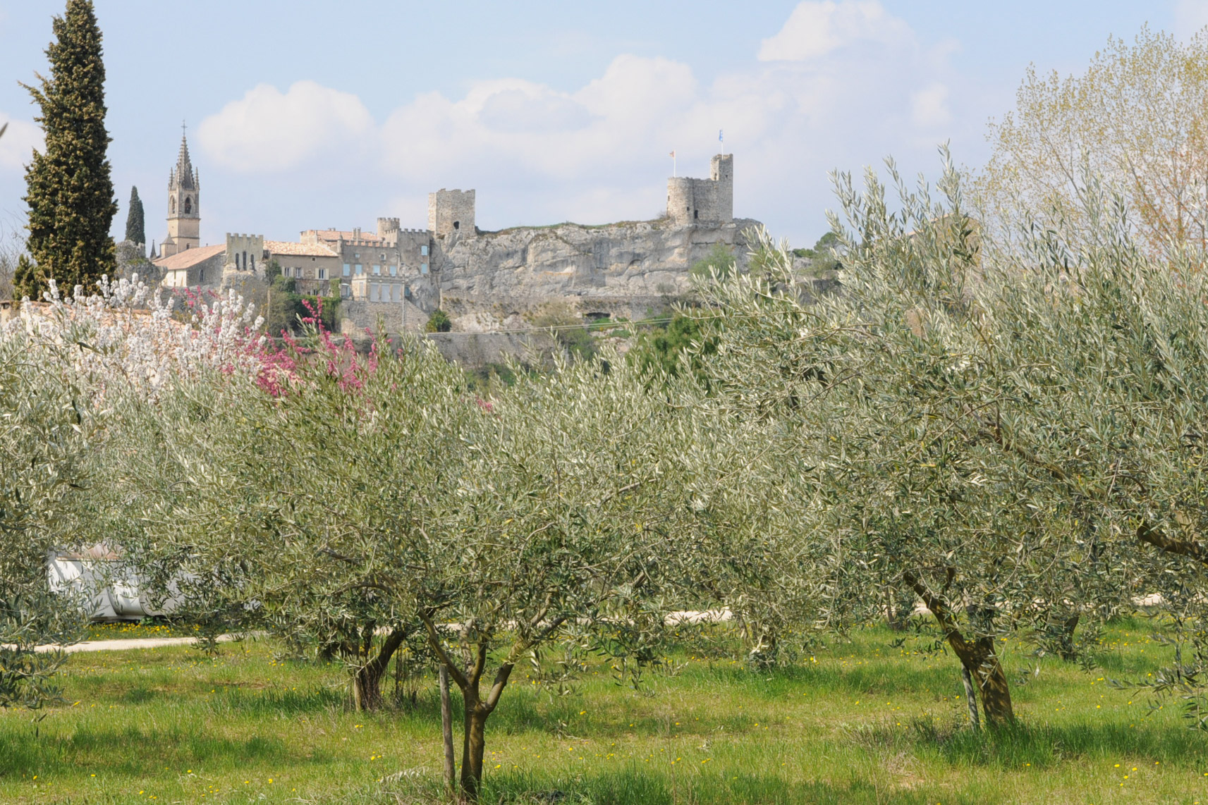 Saint-Martin d'Ardèche vu des Oliviers