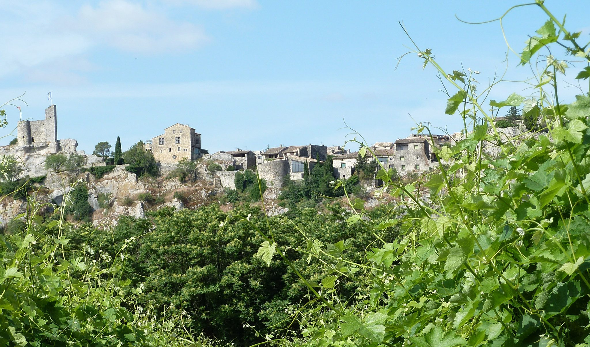 Vue des vignes